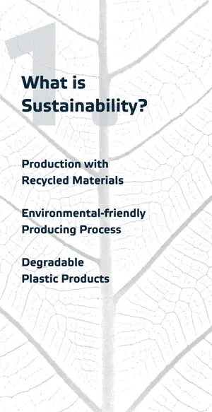 Cos'è la sostenibilità?